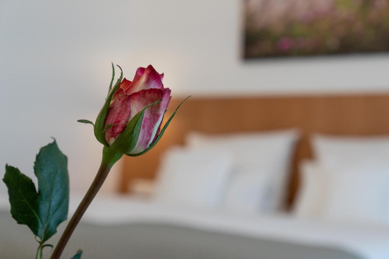Hotel Elysee ゼーリゲンシュタット エクステリア 写真